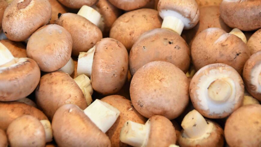 4 health benefits of mushrooms